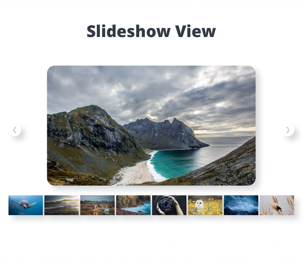 Photo Gallery WordPress plugin for web design