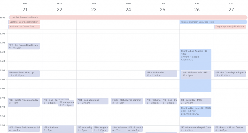 Google calendar schedule