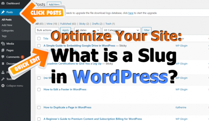 What is a Slug in Wordpress