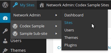 All-In-One Intranet 19 Multisite Support